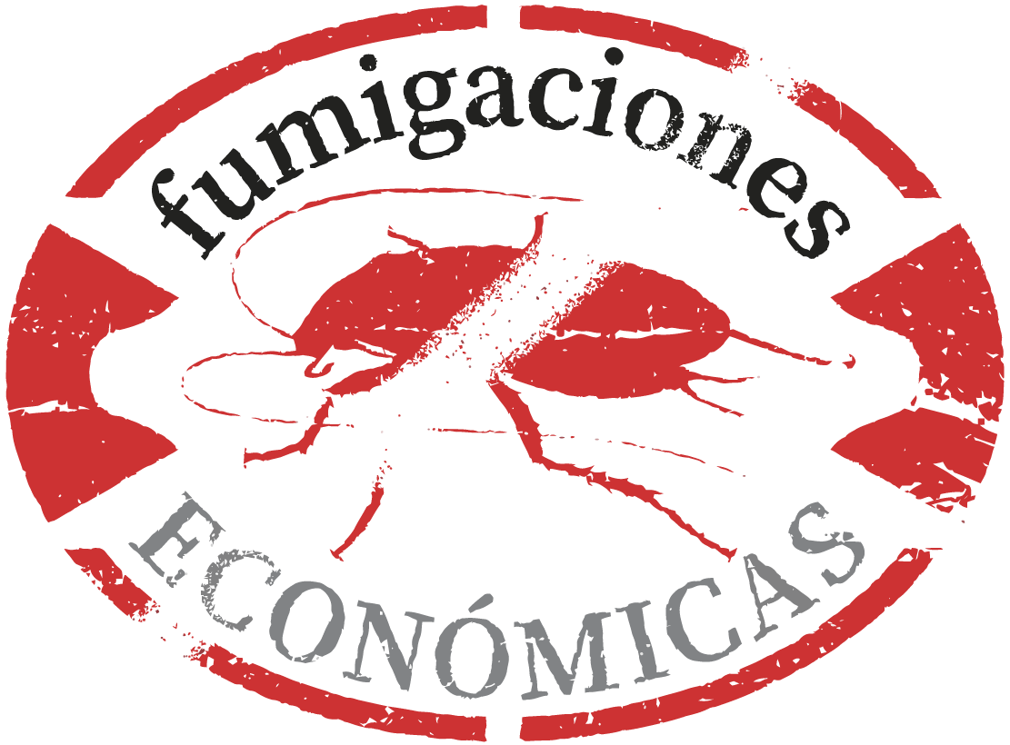 Fumigaciones Económicas Control de Plagas